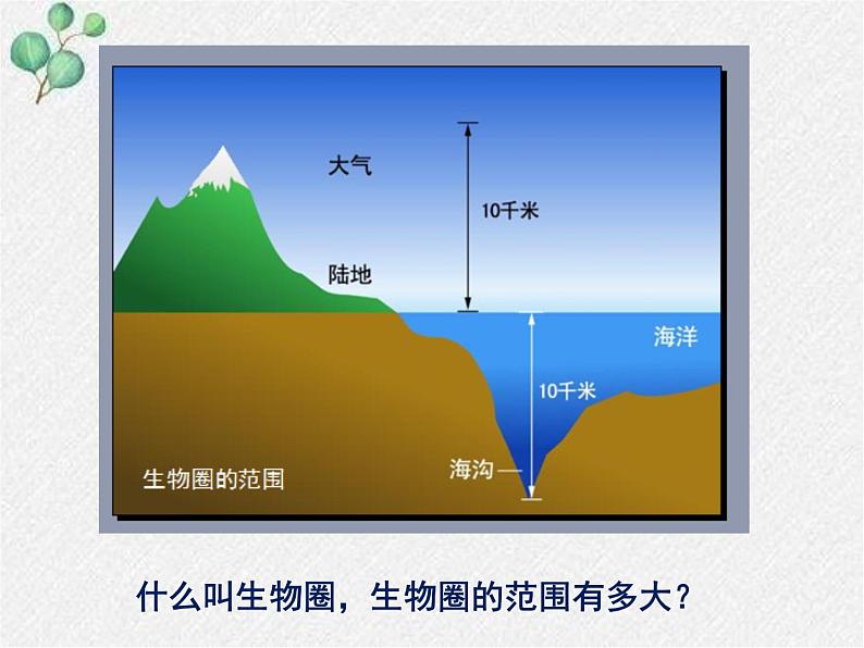 北师大版生物七年级上册第1章第1节《形形色色的生物》PPT课件第2页