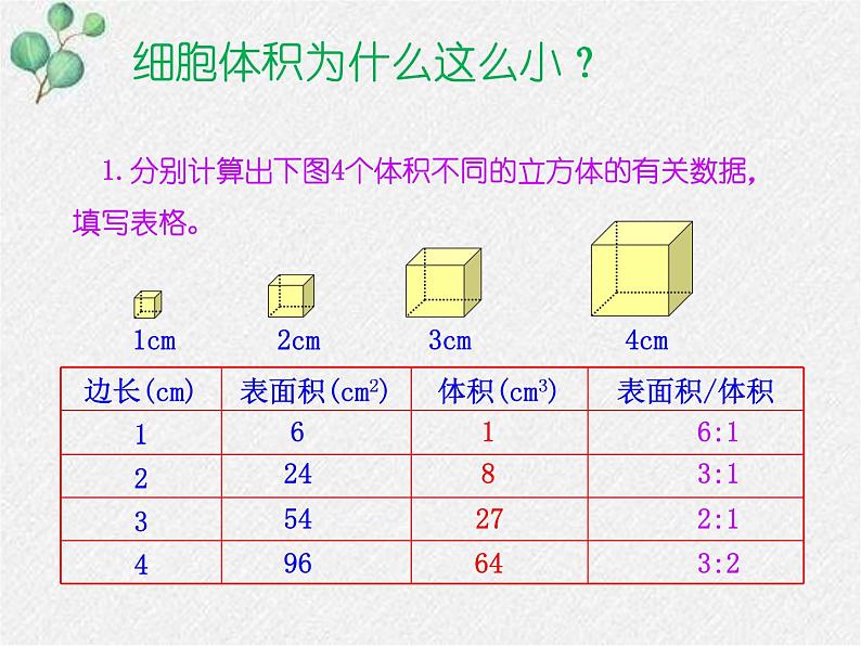 北师大版生物七年级上册第3章第3节《细胞通过分裂而增殖》PPT课件第5页