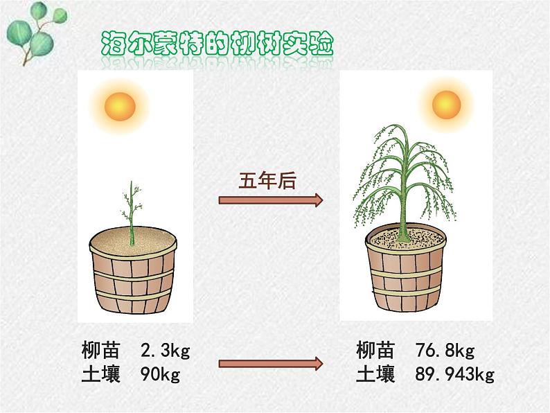 北师大版生物七年级上册第5章第1节第1课时《 光合作用》PPT课件第4页