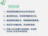 北师大版生物八年级下册第25章第1节《25.1 发酵技术 》PPT课件