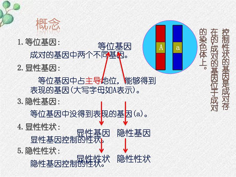 北师大版生物八年级下册第20章第3节《20.3 性状遗传有一定的规律性 》PPT课件第7页