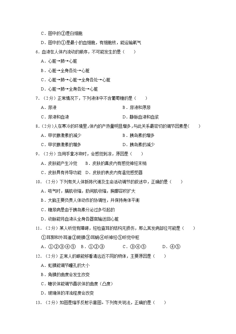 广西崇左市宁明县2021-2022学年七年级下学期期末生物试卷(word版含答案)02