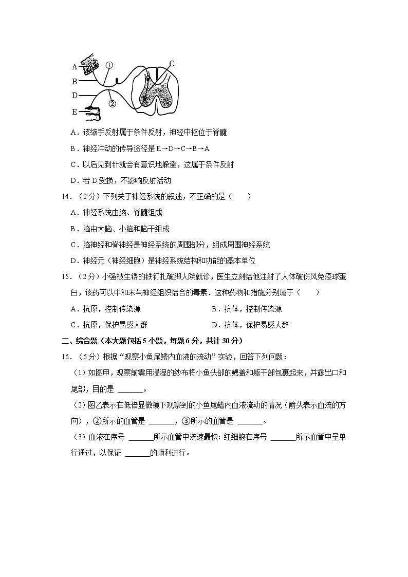 广西崇左市宁明县2021-2022学年七年级下学期期末生物试卷(word版含答案)03