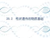 北师大版生物八年级下册第20章第2节《20.2性状遗传的物质基础 》PPT课件