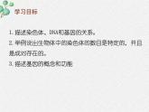 北师大版生物八年级下册第20章第2节《20.2性状遗传的物质基础 》PPT课件