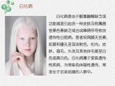 北师大版生物八年级下册第20章第6节《20.6 遗传病和人类健康 》PPT课件