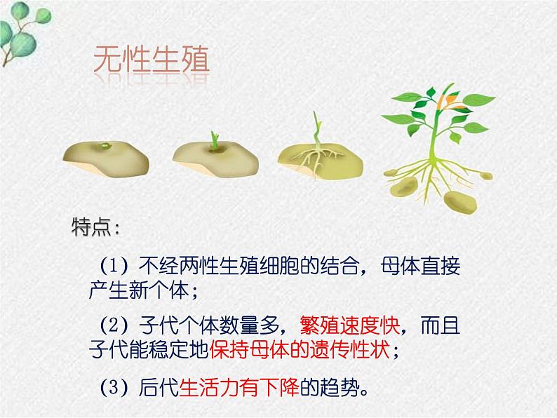 北师大版生物八年级下册第19章第3节《19.3植物的生殖方式 》PPT课件第6页