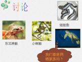 北师大版生物八年级下册第19章第2节第2课时《 19.2 动物的生殖和发育2》PPT课件