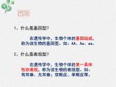 北师大版生物八年级下册第20章第5节《 20.5 遗传与环境》PPT课件