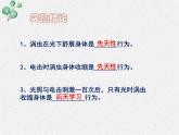 北师大版生物八年级上册第16章第1节《先天性行为和后天学习行为  》PPT课件