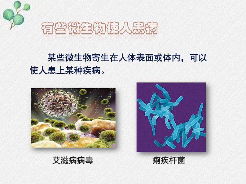 北师大版生物八年级上册第18章第2节《 18.2微生物和人类的关系》PPT课件第5页