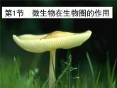 北师大版生物八年级上册第18章第1节《 18.1 微生物在生物圈中的作用》PPT课件