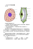 初中生物北师大版七年级上册第1节 细胞的基本结构和功能教案设计1
