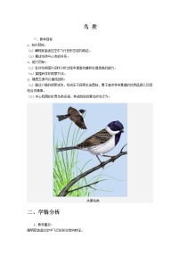 冀教版七年级上册第八节 鸟类教学设计及反思