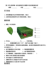 生物第四章 绿色植物是生物圈中有机物的制造者教案及反思