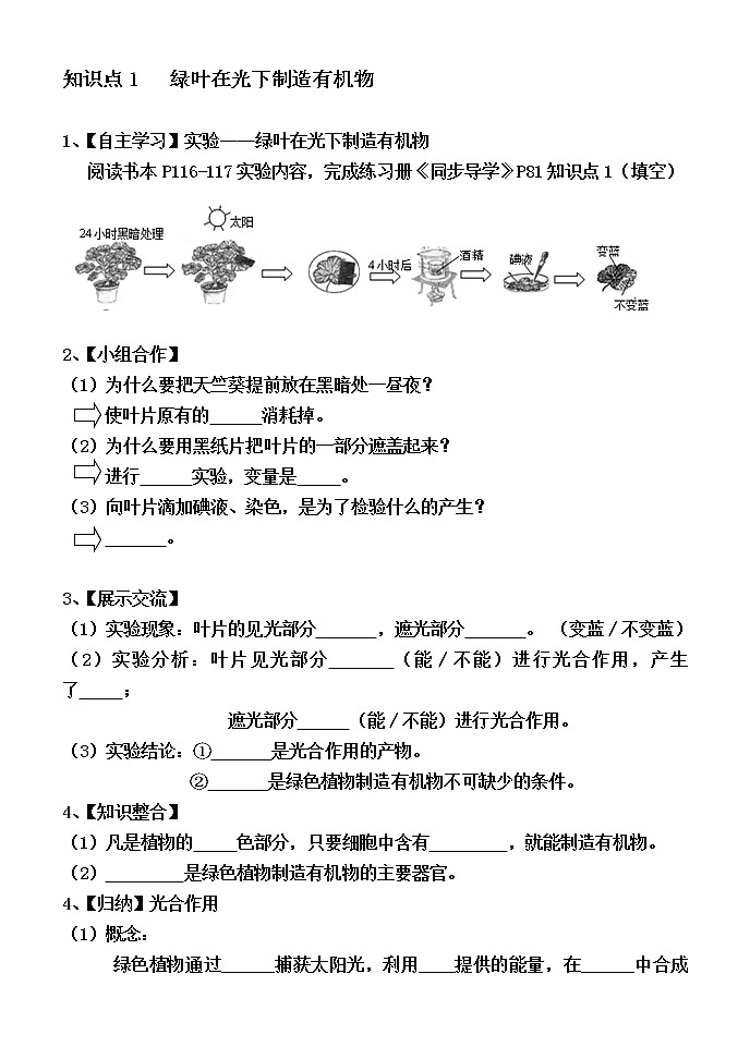 人教版七上生物 3.4绿色植物是生物圈中有机物的制造者  导学 教案02