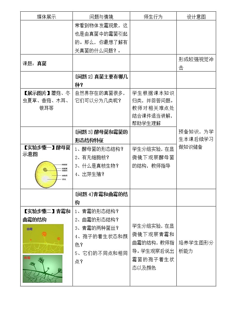 人教版八上生物 5.4.3真菌 教案02