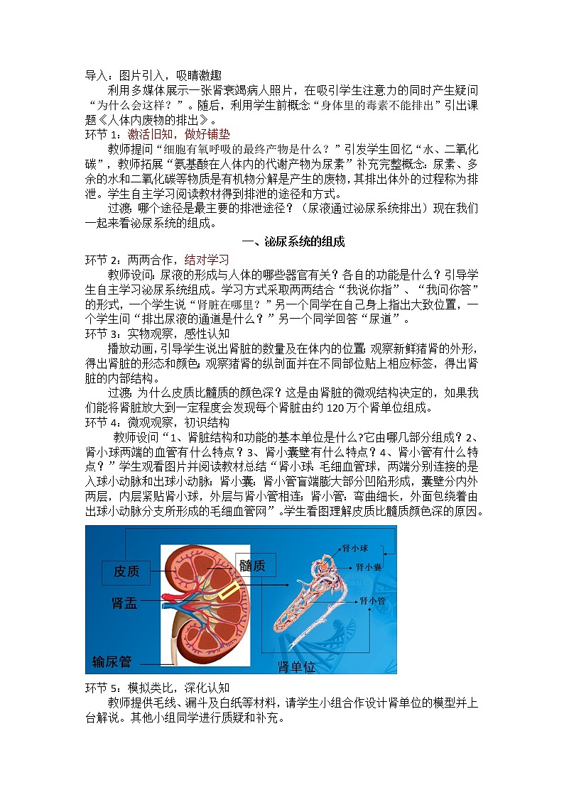 苏科版八年级上册生物   15.2人体内废物的排出 教案02