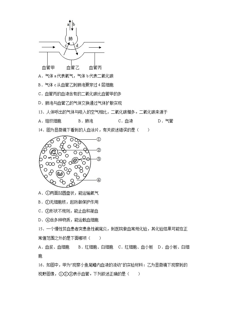 广东省佛山市南海区、三水区2021-2022学年七年级下学期期末生物试题(word版含答案)03
