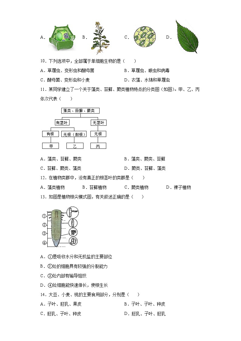 江西省上饶市余干县第三中学2021-2022学年七年级上学期期末生物试题(word版含答案)02