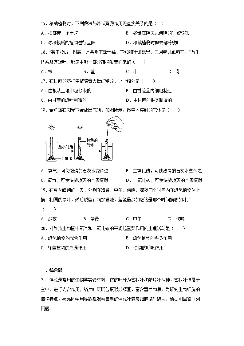 江西省上饶市余干县第三中学2021-2022学年七年级上学期期末生物试题(word版含答案)03