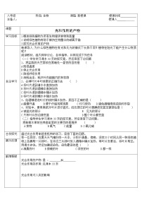 初中生物冀教版八年级上册第一节  光合作用的产物教案设计