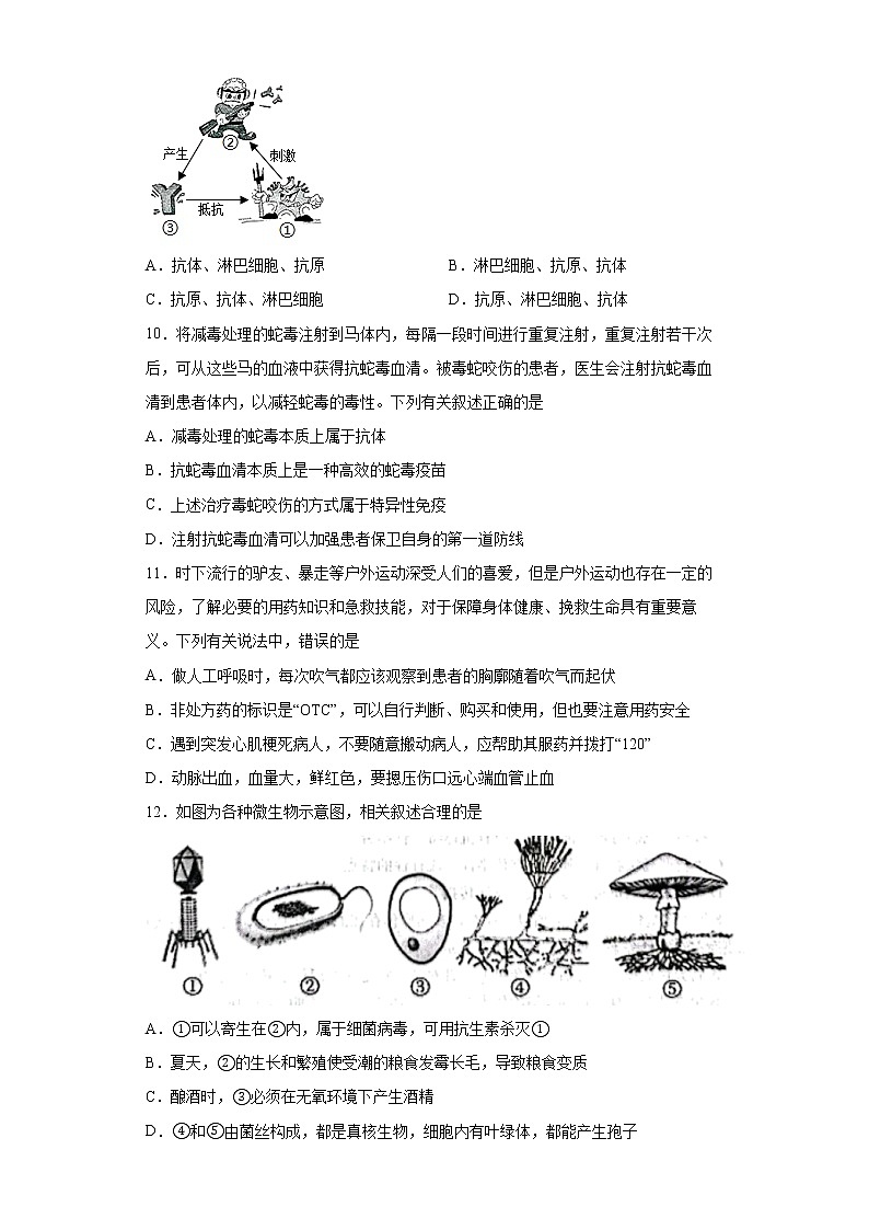 山东省泰安市宁阳县2021-2022学年七年级下学期期末生物试题(word版含答案)03