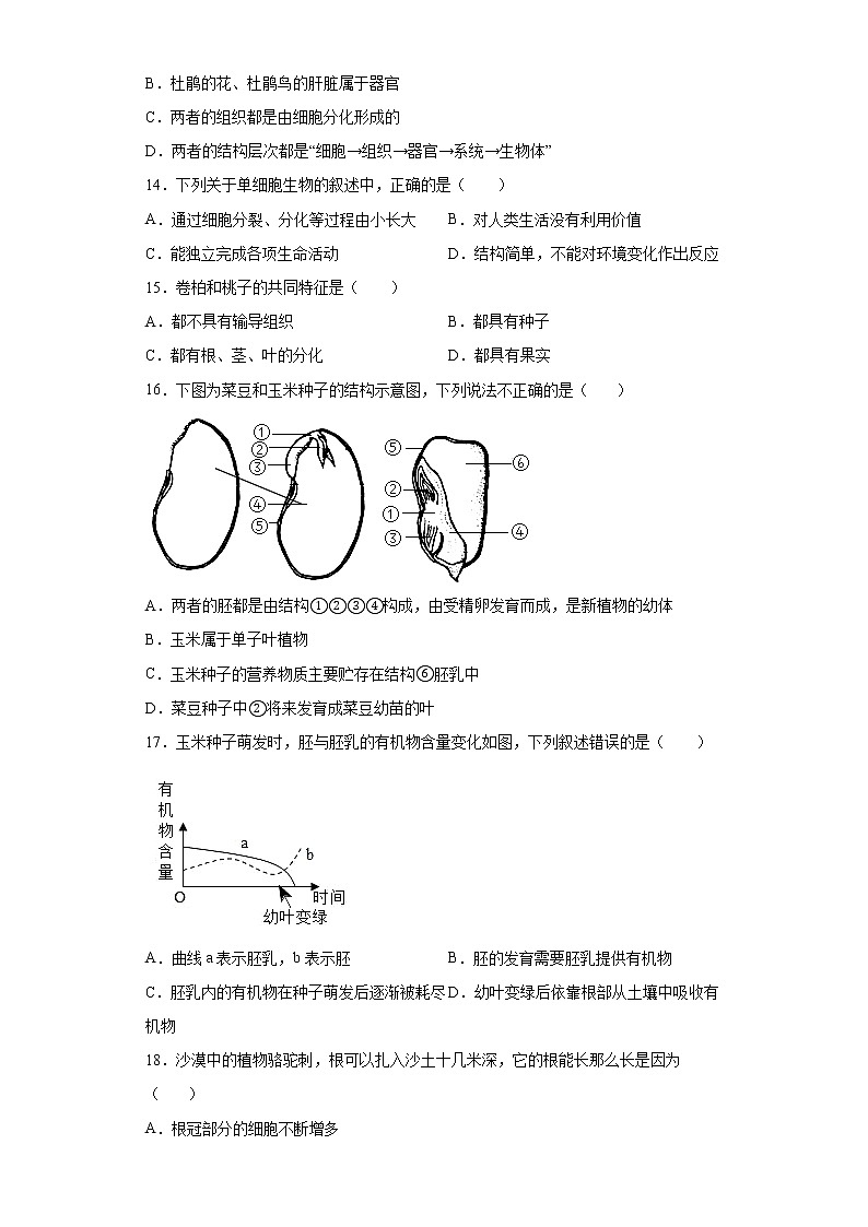 河南省郑州市金水区郑州群英中学2021-2022学年七年级上学期期末生物试题(word版含答案)03