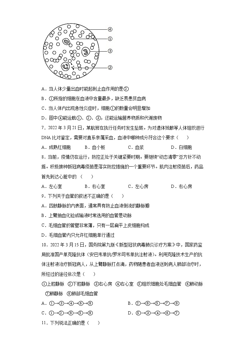 吉林省吉林市舒兰市2021-2022学年七年级下学期期末生物试题(word版含答案)02
