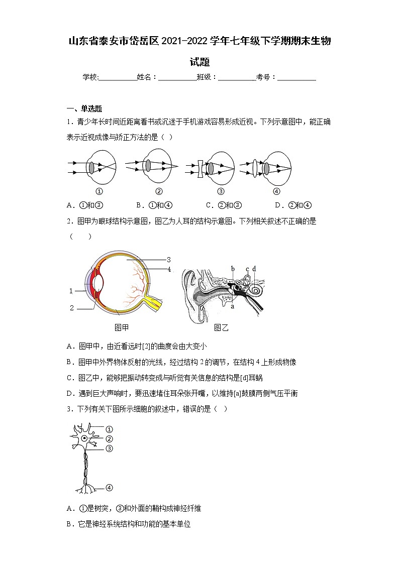 山东省泰安市岱岳区2021-2022学年七年级下学期期末生物试题(word版含答案)01