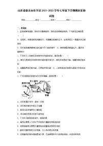 山东省泰安市东平县2021-2022学年七年级下学期期末生物试题(word版含答案)