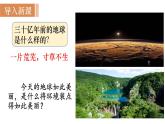 人教版七年级生物上册课件 第1单元 第1章 第1节　生物的特征