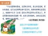 人教版七年级生物上册课件 第1单元 第1章 第2节　调查周边环境中的生物