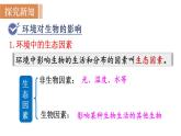 人教版七年级生物上册课件 第1单元 第2章 第1节　生物与环境的关系