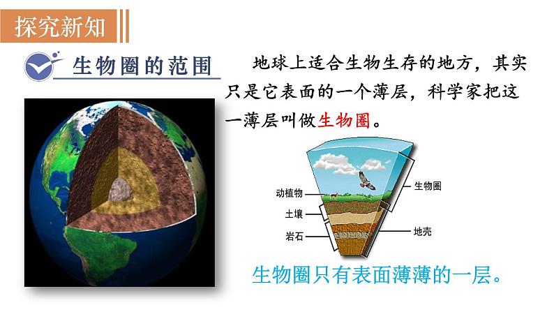 人教版七年级生物上册课件 第1单元 第2章 第3节　生物圈是最大的生态系统05