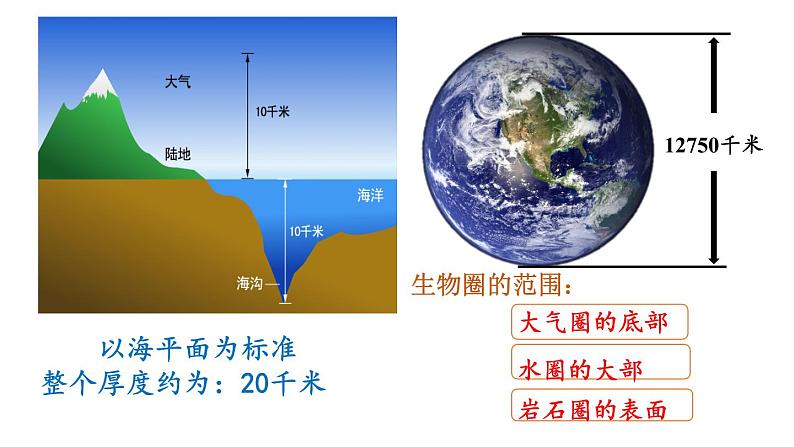 人教版七年级生物上册课件 第1单元 第2章 第3节　生物圈是最大的生态系统06