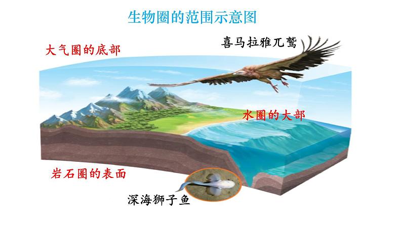 人教版七年级生物上册课件 第1单元 第2章 第3节　生物圈是最大的生态系统08