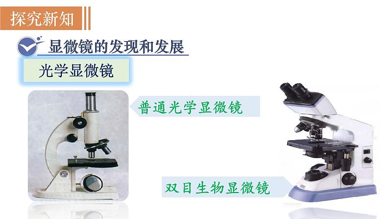 人教版七年级生物上册课件 第2单元 第1章 第1节　练习使用显微镜04