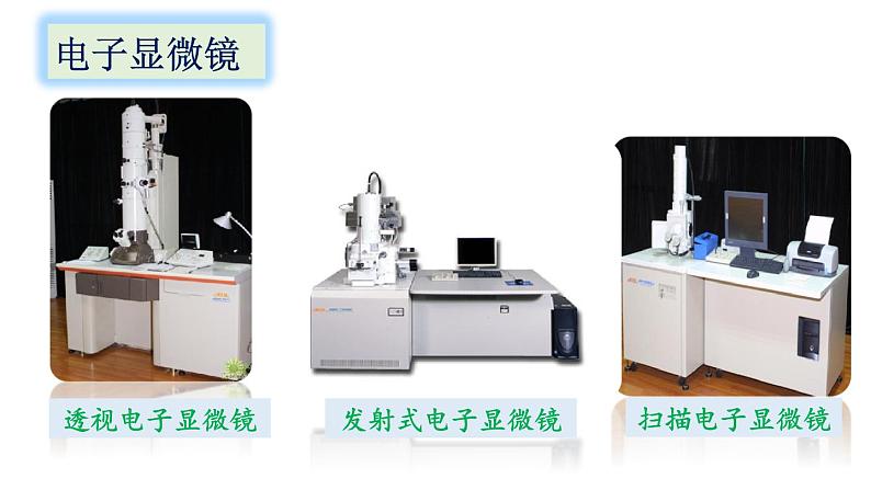 人教版七年级生物上册课件 第2单元 第1章 第1节　练习使用显微镜05