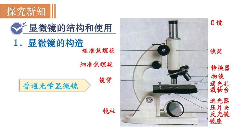 人教版七年级生物上册课件 第2单元 第1章 第1节　练习使用显微镜06