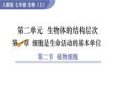 人教版七年级生物上册课件 第2单元 第1章 第2节　植物细胞