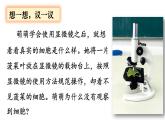 人教版七年级生物上册课件 第2单元 第1章 第2节　植物细胞