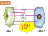 人教版七年级生物上册课件 第2单元 第1章 第4节　细胞的生活