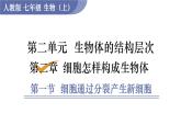 人教版七年级生物上册课件 第2单元 第2章 第1节　细胞通过分裂产生新细胞