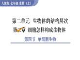 人教版七年级生物上册课件 第2单元 第2章 第4节　单细胞生物