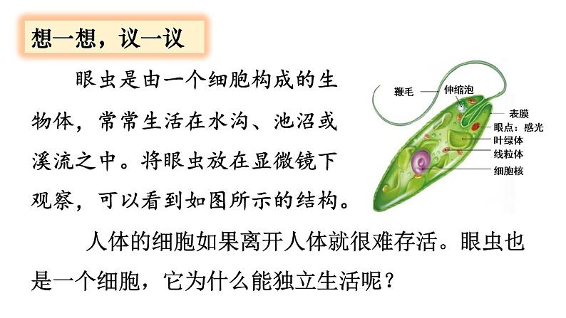 第4节　单细胞生物第3页