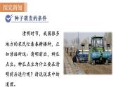 人教版七年级生物上册课件 第3单元 第2章 第1节　种子的萌发