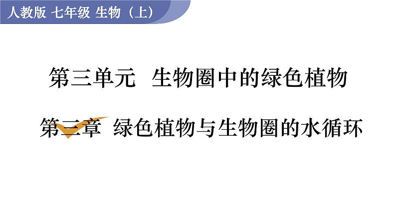 人教版七年级生物上册课件 第3单元 第3章　绿色植物与生物圈的水循环01