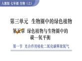 人教版七年级生物上册课件 第3单元 第5章 第1节　光合作用吸收二氧化碳释放氧气