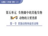 人教版八年级生物上册课件 第5单元 第1章 第6节 鸟
